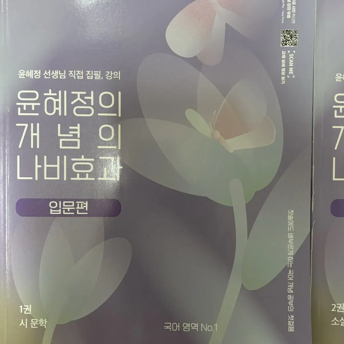 윤혜정의 개념의 나비효과 세트